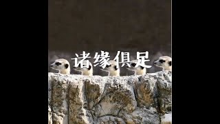201408 诸缘俱足31745