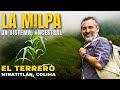¿Crees que es solo maíz? 🌽 LA MILPA: el sistema ancestral que da vida y sabor a México | Colima Sabe