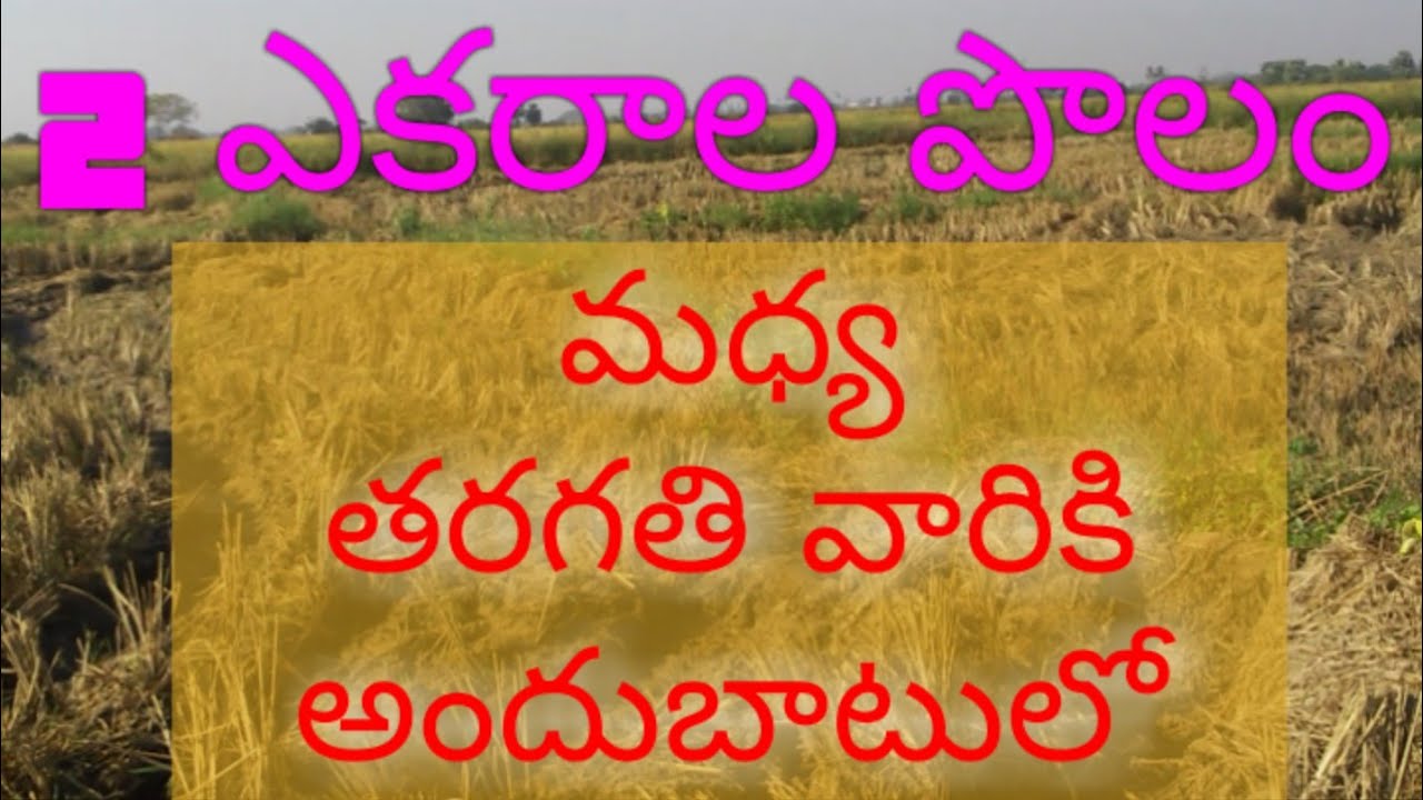 low price agriculture land for sale in telangana low cost land Gagan INFO YouTube