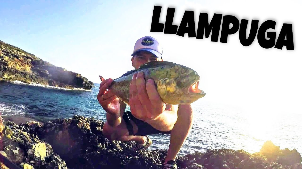 LLAMPUGA y BACORETA a SPINNING⚡desde COSTA en el Mediterráneo | CoralHook Fishing