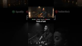 Fields of Gold - Sting (Boyce Avenue acoustic cover) #shorts #acoustic #coversong #cover #song