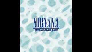 Nirvana - You Know You're Right (Full Synth Cover)