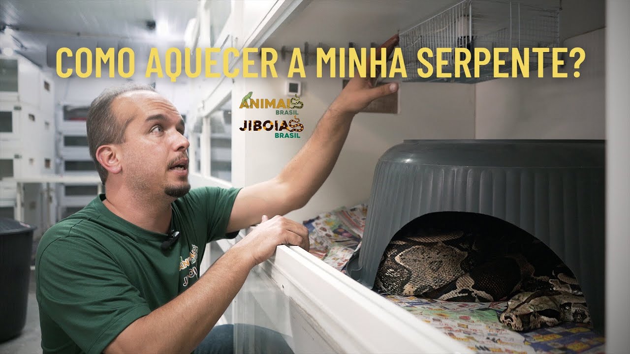 Como aquecer a minha serpente ?