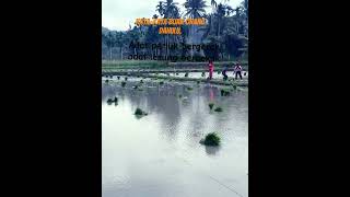 #motivation #livequotes #kampunghalaman