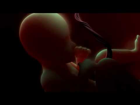 Vray SSS Test