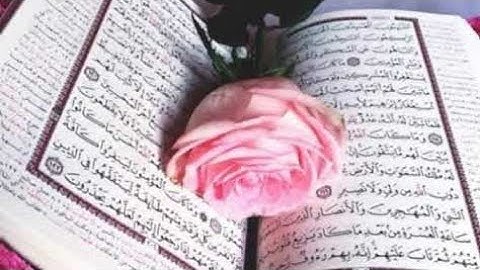 سورة المزمل كاملة ✍- راحة وسكينة للقلب 💚😴__ القارئ زين العابدين