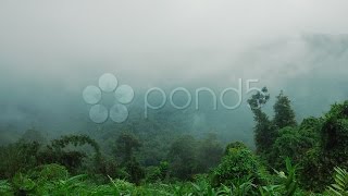 Rain Forest Clouds Time-Lapse Nr 1. Stock Footage