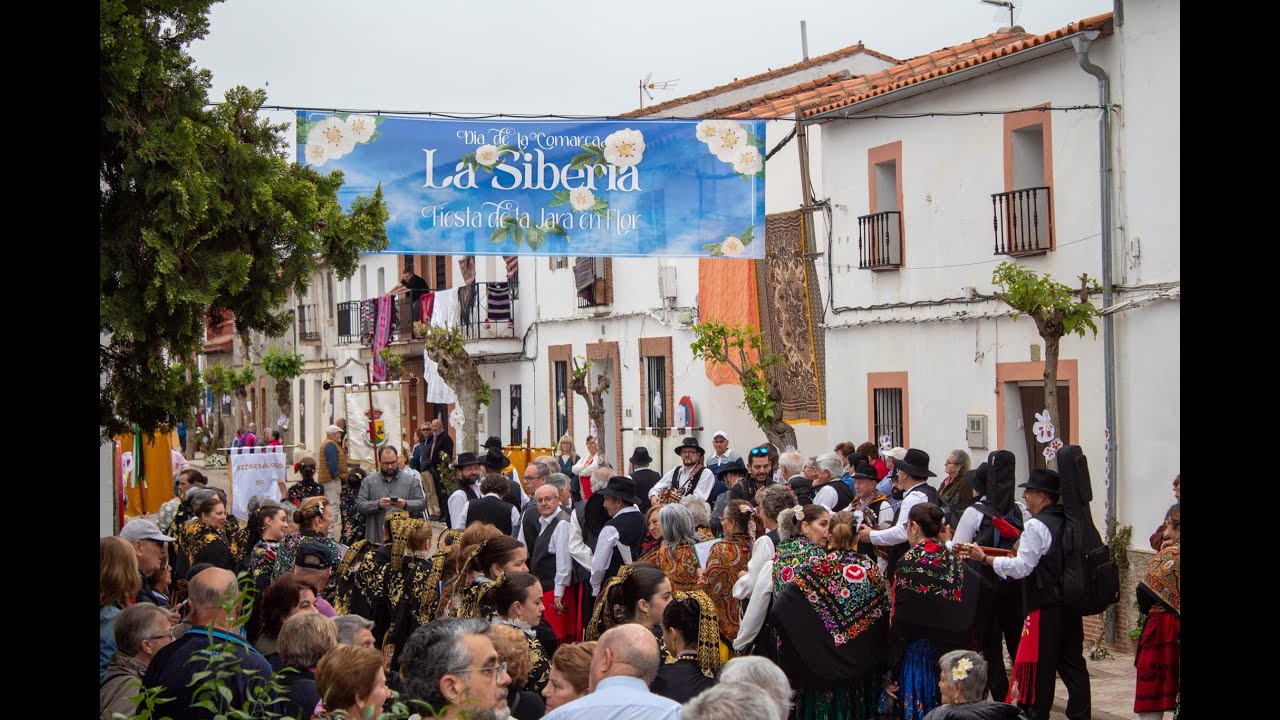 📍 Fiesta de la Jara en Flor 2025 en Castilblanco | Resumen