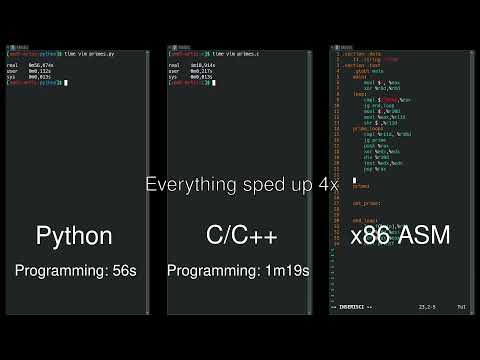 Python vs C/C++ vs Assembly side-by-side comparison