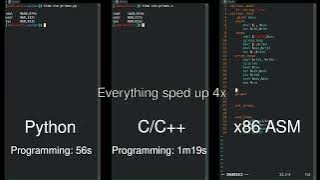 Python vs C/C   vs Assembly side-by-side comparison