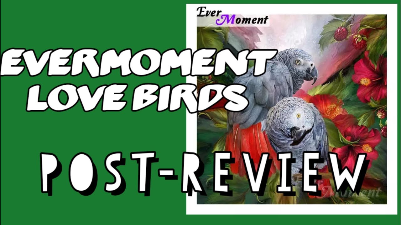 Post-Review - EverMoment "Love Birds" AliExpress - Bigger is ALWAYS Better!