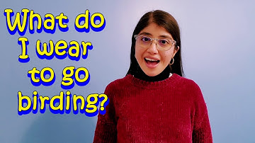 What Should You Wear To Go Bird Watching?