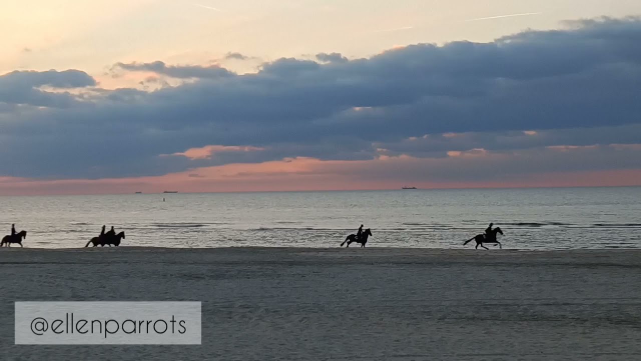 Vakantie strand 's-Gravenzande 2021