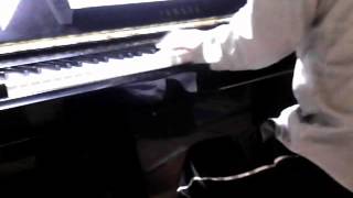 Richard Wagner / August Stradal - Schmerzen, WWV 91/4 (1857)