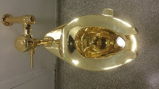 Зачем в музее Нью-Йорка установили золотой унитаз? (новости)