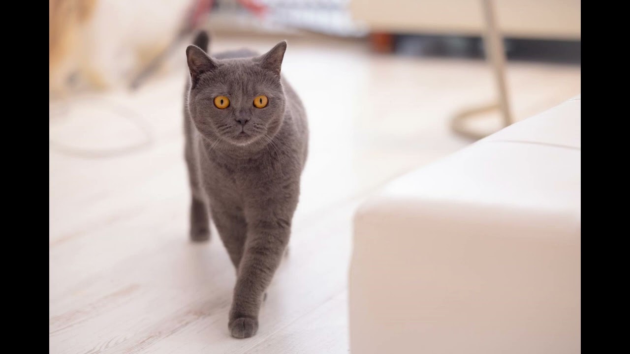 【激レア】福山雅治　福山エンジニアリング　パーカー 激レア】福山雅治 福山エンジニアリング パーカー