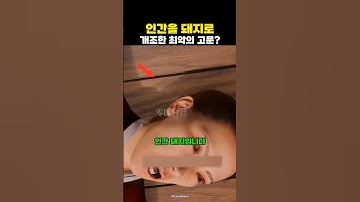고대 중국 왕비가 받은 최악의 형벌?