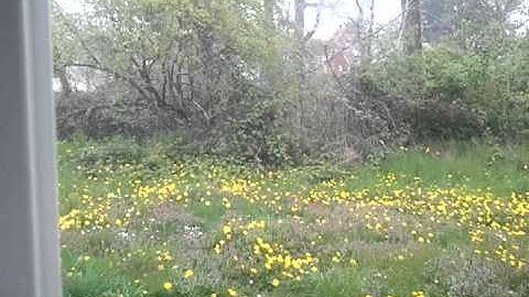 video-2011-04-21-12-54-47