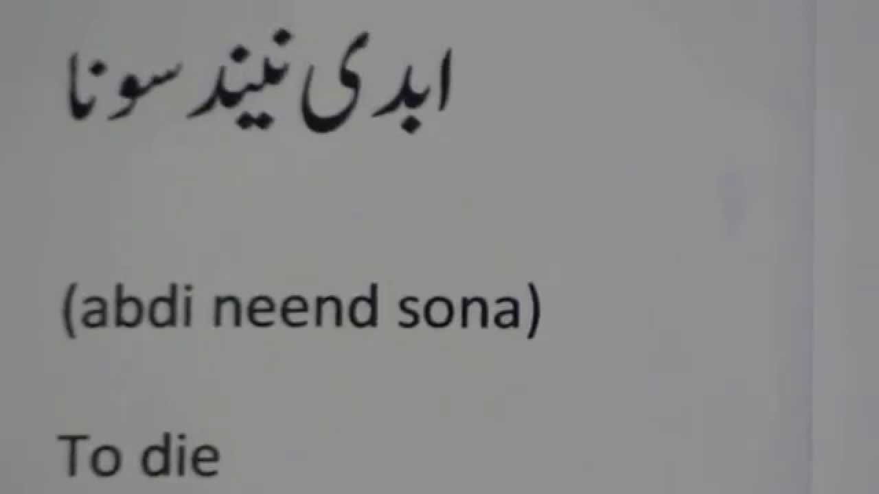 English to Urdu Dictionary - Meaning of Stream in Urdu is : ندی, دريا, ندي,  چشمه, آب جو, دھار, نالا, رو, رود, سوتا