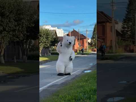 Куда уходит Белый Мишка? #shorts #reaction #comedy #funny