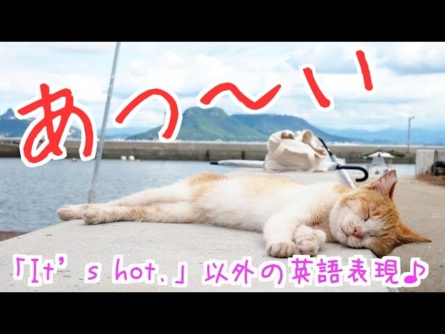 のんびり⭐︎。 お写真にてサイズ等確認後、お願いいたします。 英語で言える？「写真撮ってください」のいろいろな表現！〔#86