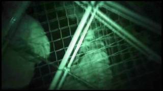 The Cove (2009) trailer