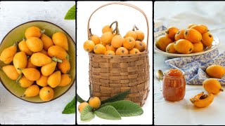 Amazing Health Benefits of Loquat