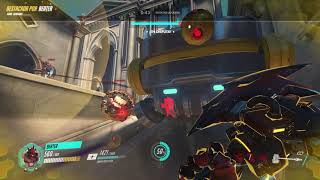 bug rein's shield on rialto