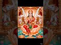 #🌸✨ नववर्ष शुभकामनाएँ ✨🌸माँ लक्ष्मी की कृपा बरसे,धन–सुख से जीवन तरसे।नया साल मंगलमय हो। 🙏🌼