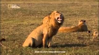 VID 20150826 WA0000