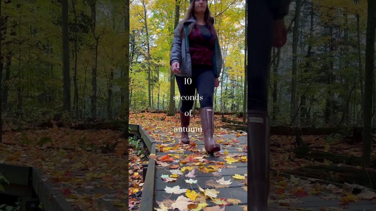 10 Seconds of Autumn in Ontario