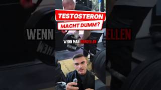 Macht Testo Dumm? - Steroide und das Gehirn