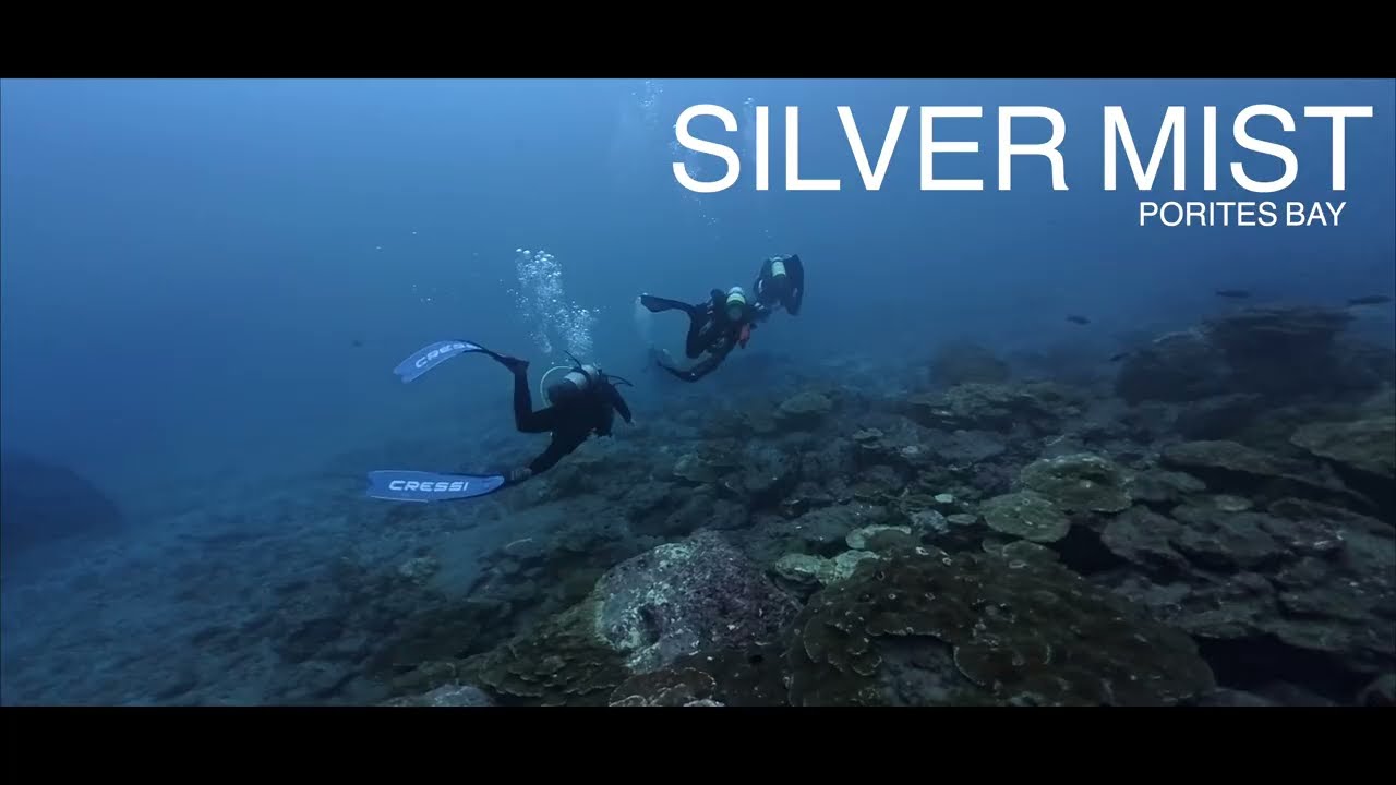"Silver Mist" / COCOS Du 29 05 au 8 06 26