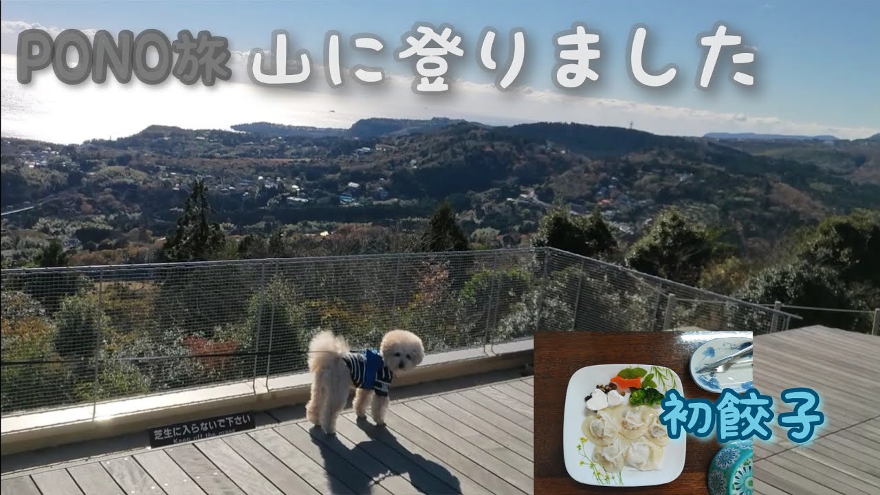 ワンコと楽しい伊豆高原!!　🐶ビショプーのポノ
