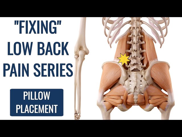 How To Fix Lower Back Pain From Sleeping on a Budget! Lumbar Pillow Review  in 4K! 