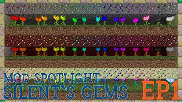 Mod Spotlight - Silent