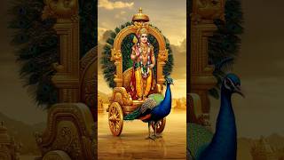 ஓம மரக பறற