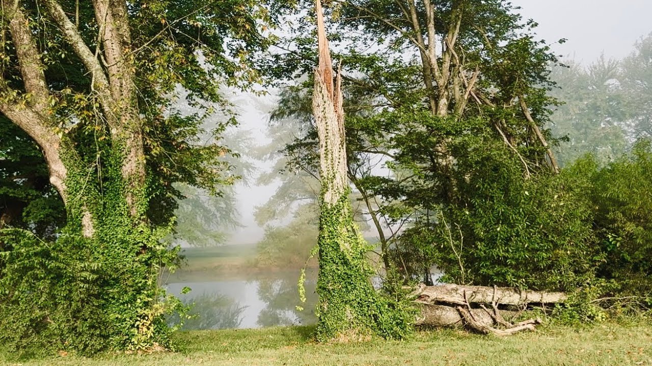 Fog…it rolls in fast. 🌫️ 