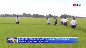 Nông dân trồng lúa tăng lợi nhuận 2 triệu đồng/ha nhờ ứng dụng công nghệ cao | LONG AN TV