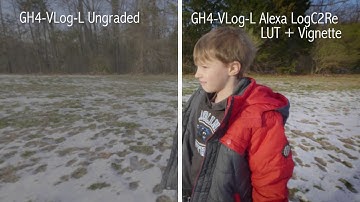 Panasonic GH4 + VLOG-L + ZHIYUN Crane 3-Axis Handheld Stabilizer