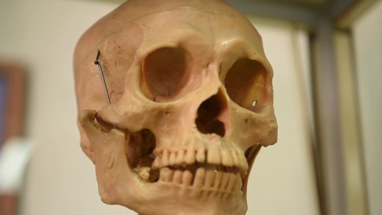 คณะวิทยาศาตร์ประยุกต์ มหาวิทยาลัยเทคโนโลยีพระจอมเกล้าพระนครเหนือ