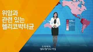 위암과 관련 있는 헬리코박터균 - (20130316_452회 방송)_뱃속의 무법자 헬리코박터