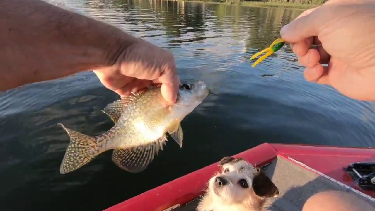 Fishing Michigan Portage Lake for crappies YouTube