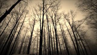 LISA GERRARD -  &quot;Laurelei&quot;