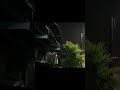 Bol Kaffara Kya Hoga - Neha Kakkar &amp; Farhan Sabri | 💔🌙 Aesthetic Status | Chill Vibezs