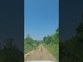 Июнь 2025, Отрадненский район, Краснодарский край