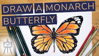 How to Draw a Monarch Butterfly (Easy and Realistic)