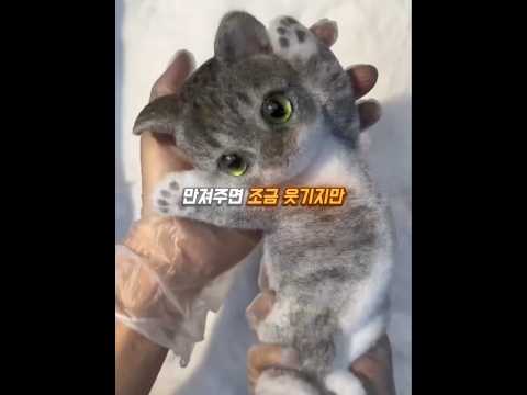 말랑이 인형❤️#shorts thumbnail