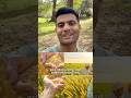 Agriculture will become high-tech business #2ndpuc #future #reality #career #agriculture #farmer