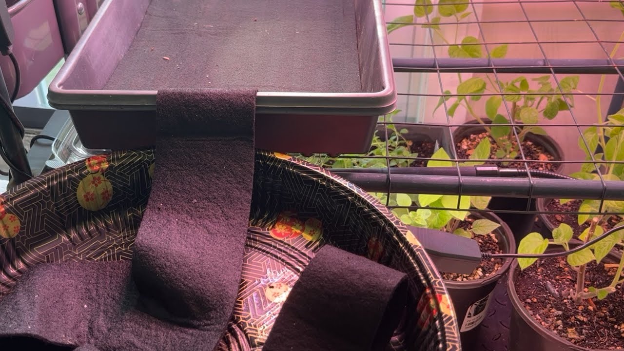 Self Watering Seedlings (Using Capillary Mats) : The Bittersweet Gardens